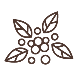 Logo de www.cafesacramento.com.gt